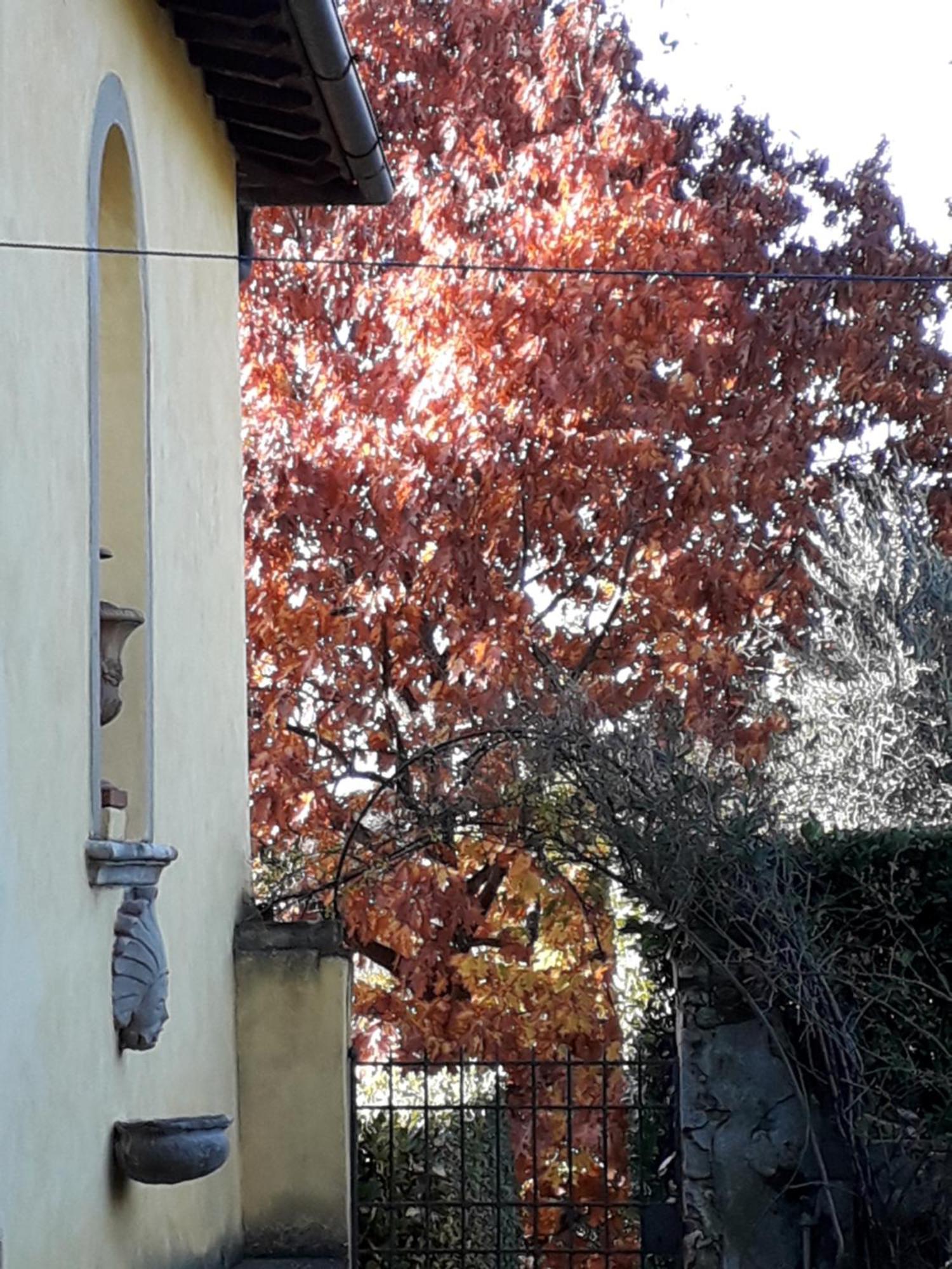 Le Pergole- Casa de hóspedes Florença